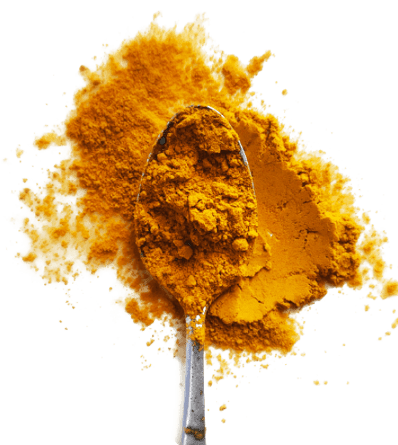 fermentlife Fermentiertes Kurkuma Pulver